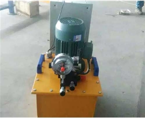 菏泽标准电动泵供应生产